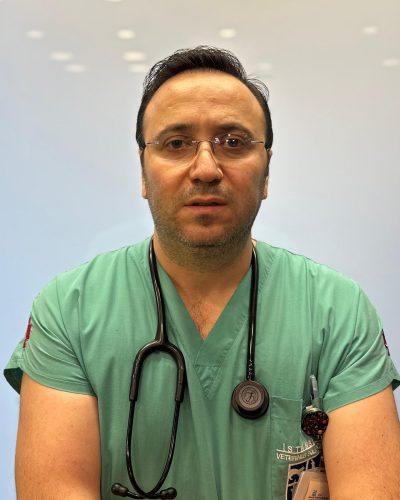 tamer1